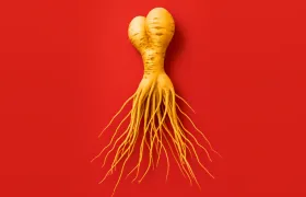 History of Ginseng