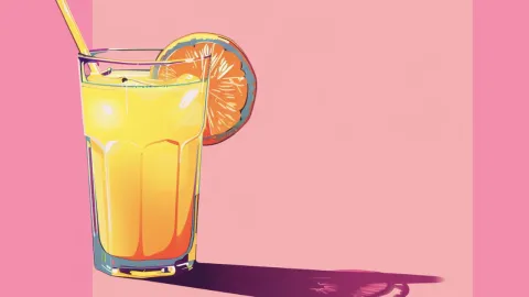 History of Fruit Juice