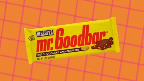 The Unknown History of Mr. Goodbar