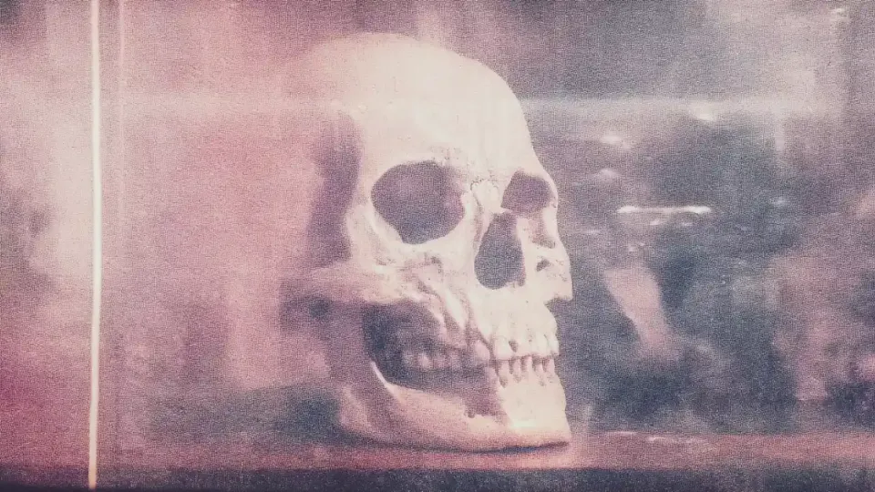 Facing The Inevitable: 25 Quotes About Death Across Time