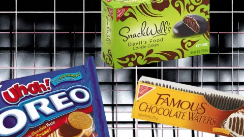 Discontinued Nabisco Cookies That You Forgot About
