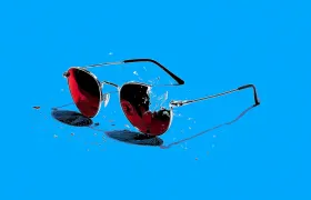 Iconic Discontinued Sunglasses