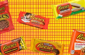 Discontinued Reese's packages including Bites, Banana Creme, Mallow-Top and Snacksters