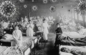 History's Most Lethal Diseases 