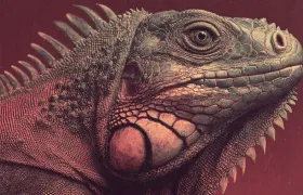 Horrifying Historical Facts About the Galápagos Islands